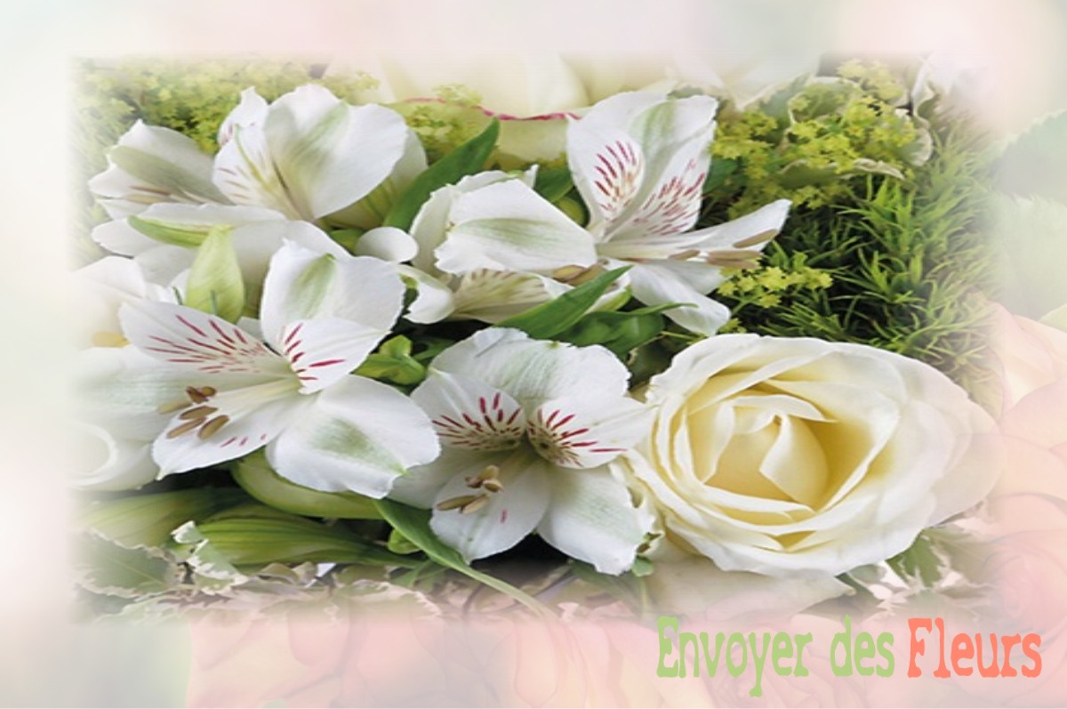 envoyer des fleurs à à LANEUVILLE-AU-RUPT